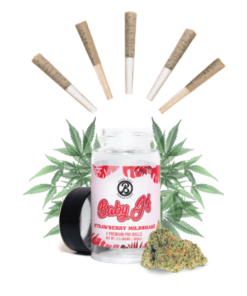 Baked Bags Baby J’s Watermelon Sherbet