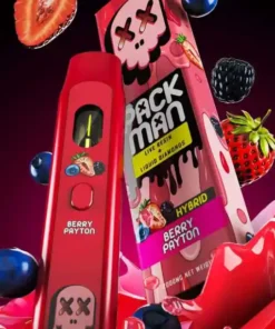 Packman Berry Payton Einweg Vape