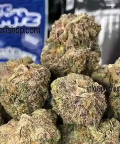 Blue Tomyz backpackboyz