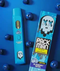 Packman Blueberry Diesel Einweg Vape