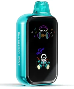 RAMA 16000 Züge Einweg Vape Blueberry Mint – Rama TL16000