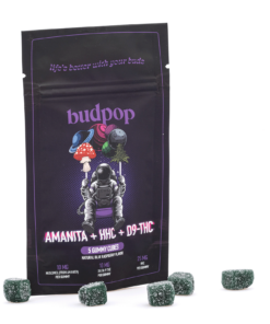 Budpop Amanita Muscaria Pilz+ HHC + Delta 9 Gummies (5 Count)
