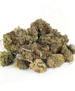 CBN Blüten Mix – SALE