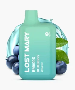 LOST MARY BM600s Blueberry Einweg Vape