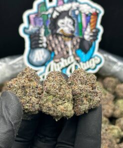 Lemmon Cherry Grushers Backpackboyz