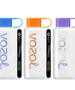 Vozol Star 12000 Vape wiederaufladbar