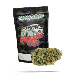 10-OH-HHC Amnesia Haze